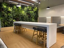 Braddell Road (D13), Office #455447531